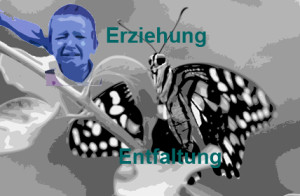 20 schmetteling 2